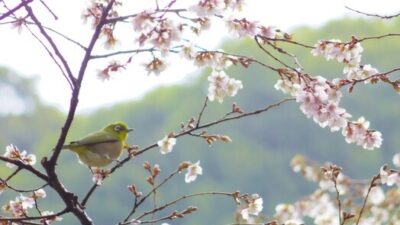 クラス替えが不安なあなたへ