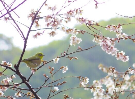 クラス替えが不安なあなたへ